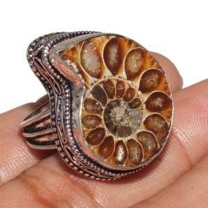 May include: A silver ring with a large ammonite fossil set in the center. The fossil is brown and white with a spiral pattern.