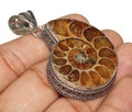 Ammonite Fossil Gemstone Pendant, Handmade Pendant, Christmas Gift, Vintage Style Pendant, 925 Sterling Silver Plated Jewelry (MK-66-24-LOT) product logo