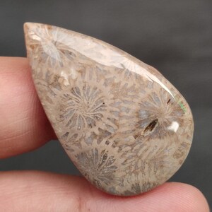 Puede incluir: Una piedra preciosa pulida en forma de l&aacute;grima con un patr&oacute;n floral beige y gris. La piedra tiene una superficie brillante y se sostiene entre los dedos. El patr&oacute;n se asemeja a peque&ntilde;as formas florales radiantes.