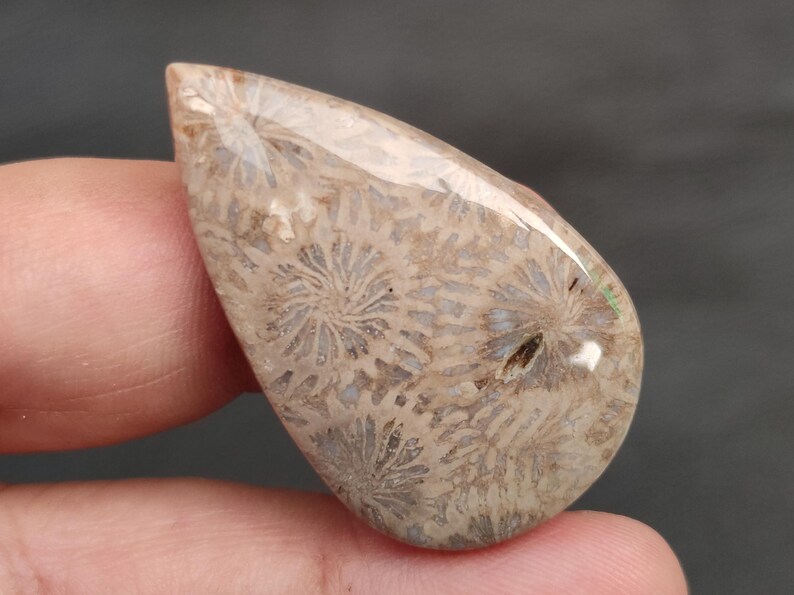 Puede incluir: Una piedra preciosa pulida en forma de l&aacute;grima con un patr&oacute;n floral beige y gris. La piedra tiene una superficie brillante y se sostiene entre los dedos. El patr&oacute;n se asemeja a peque&ntilde;as formas florales radiantes.