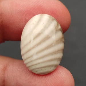 Natürlicher Feuerstein Cabochon, Seltener Feuerstein Cabochon, Feuerstein Achat Cabochon, Feuerstein Edelstein, 11 CTS, 21x15x5 MM.