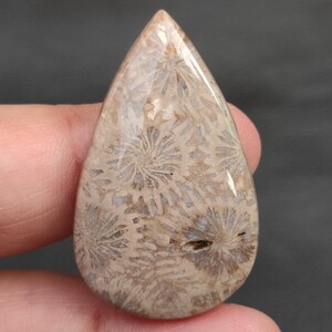 Puede incluir: Una gema pulida en forma de l&aacute;grima. La piedra presenta un patr&oacute;n beige y marr&oacute;n que recuerda al coral fosilizado. El intrincado dise&ntilde;o presenta patrones circulares y lineales, creando una textura &uacute;nica. La gema es sostenida por una mano.
