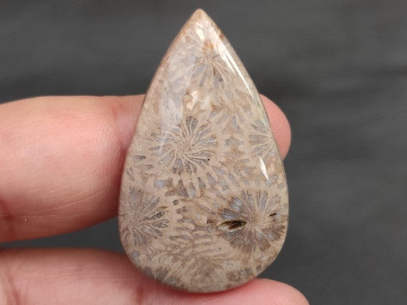 Natural Fossil Coral Cabochon, Fossil Coral Gemstones, Fossilized Coral Cabochon, 40 CTS, 39x23x5 MM.