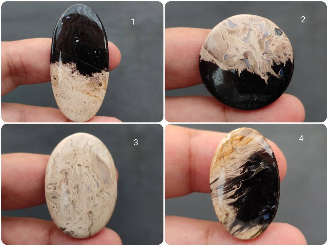 Natural Petrified Palm Wood Fossil Cabochon Agatized Etsy