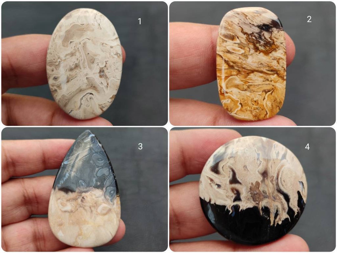 Natural Petrified Palm Wood Fossil Cabochon Agatized Etsy