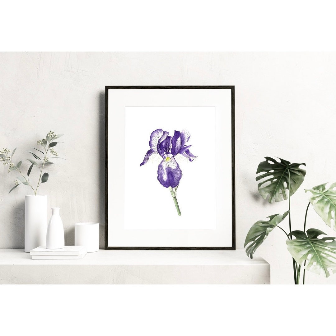 Iris Birth Flower Iris Tattoo Design Art Prints Etsy