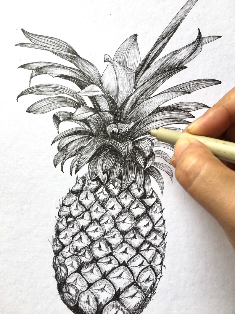Kitchen Line Art Pen Drawing Custom Fruit Drawing Pineapple Illustration Art Pen Ink Art Collectibles Efp Osteology Org