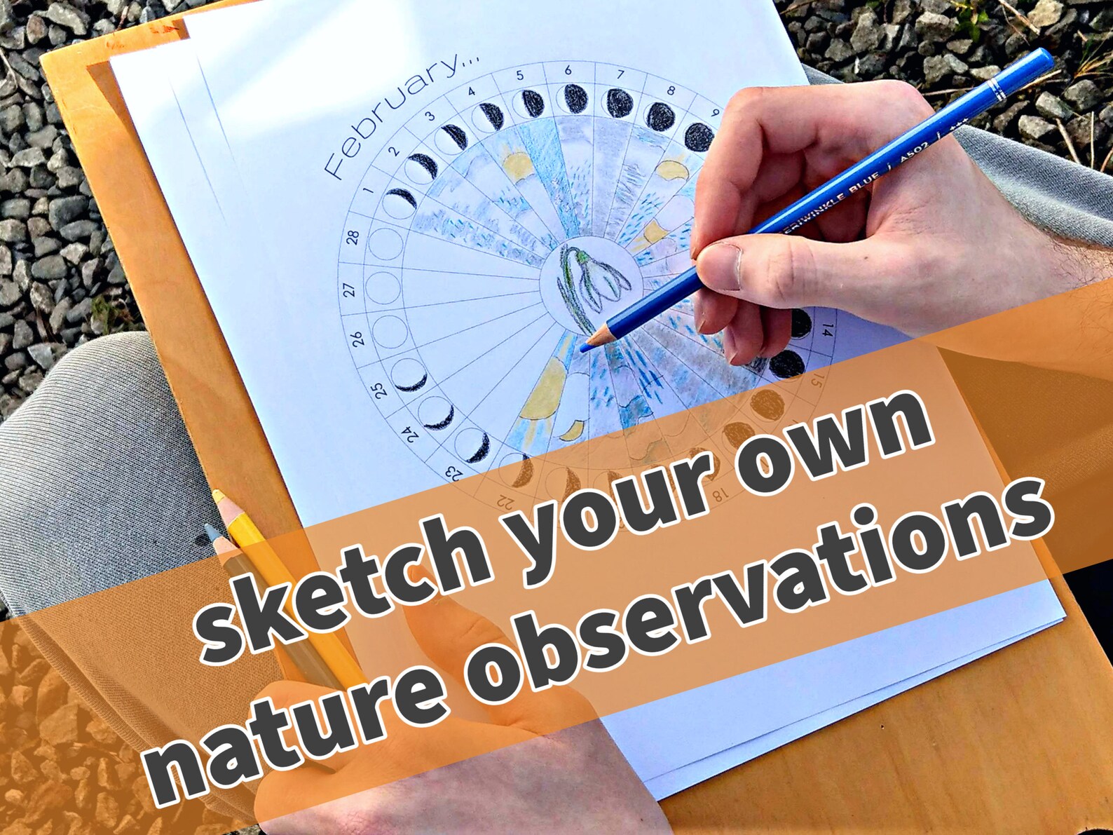 Weather &amp; Moon Study Monthly Phenology Wheel Templates - Etsy