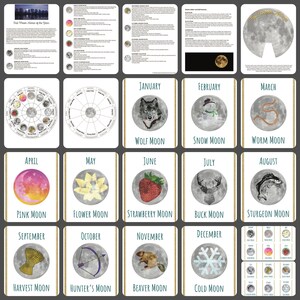 Moon Study Educational Craft Printable Activity Bundle - Etsy