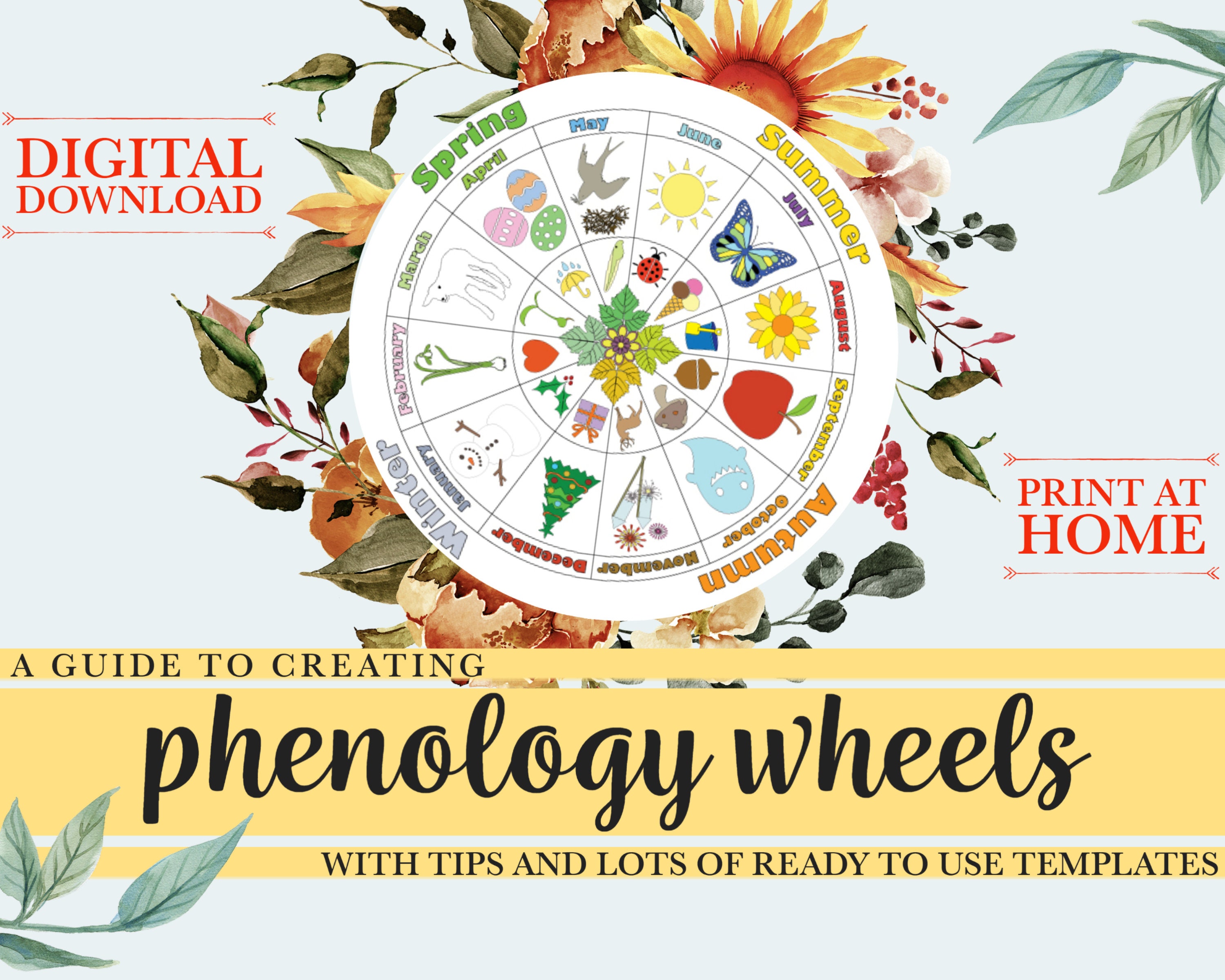 Phenology wheels 40 page guide with tips &amp; templates nature | Etsy