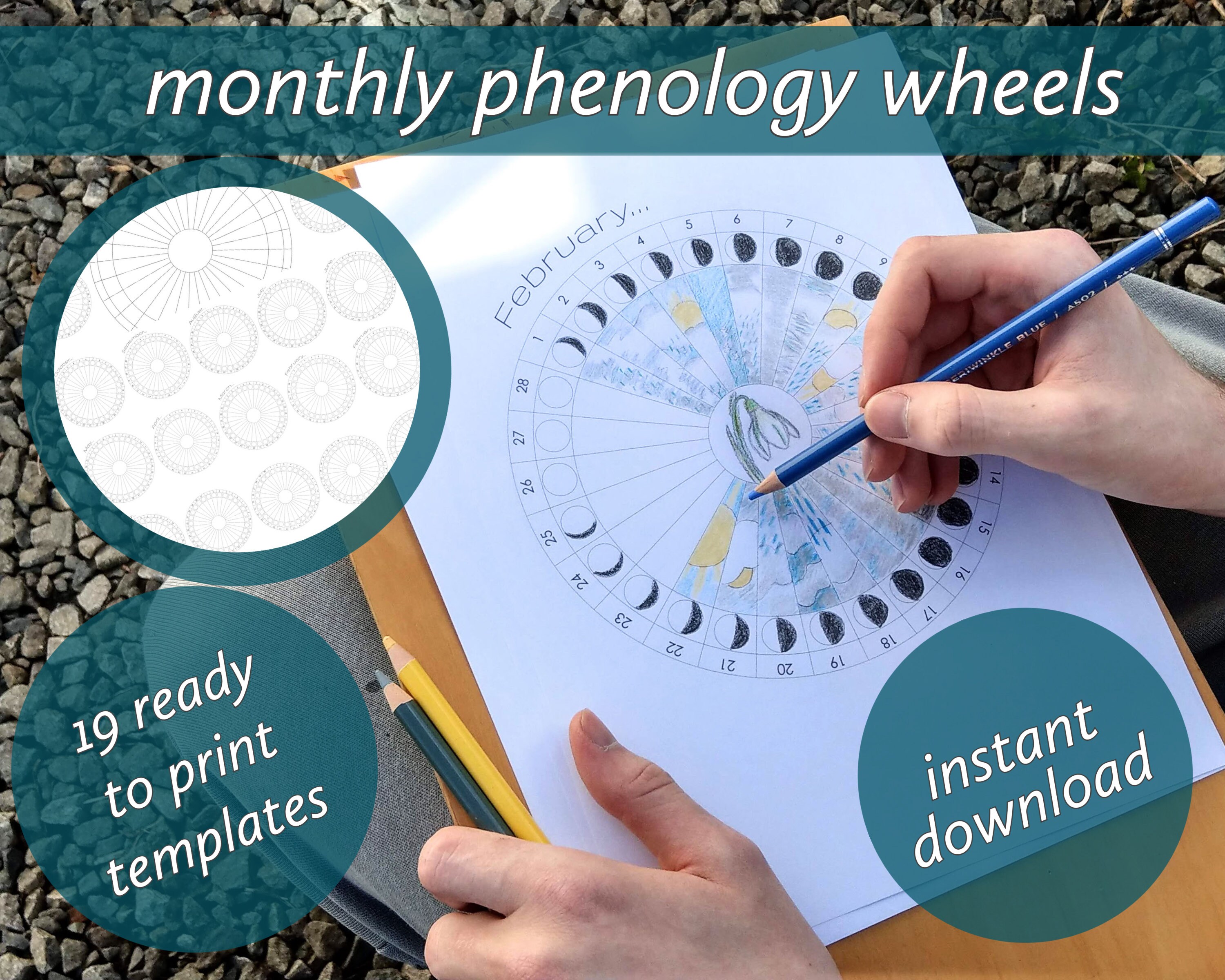 Weather &amp; Moon Study Phenology Monthly Wheel Templates Good - Etsy UK