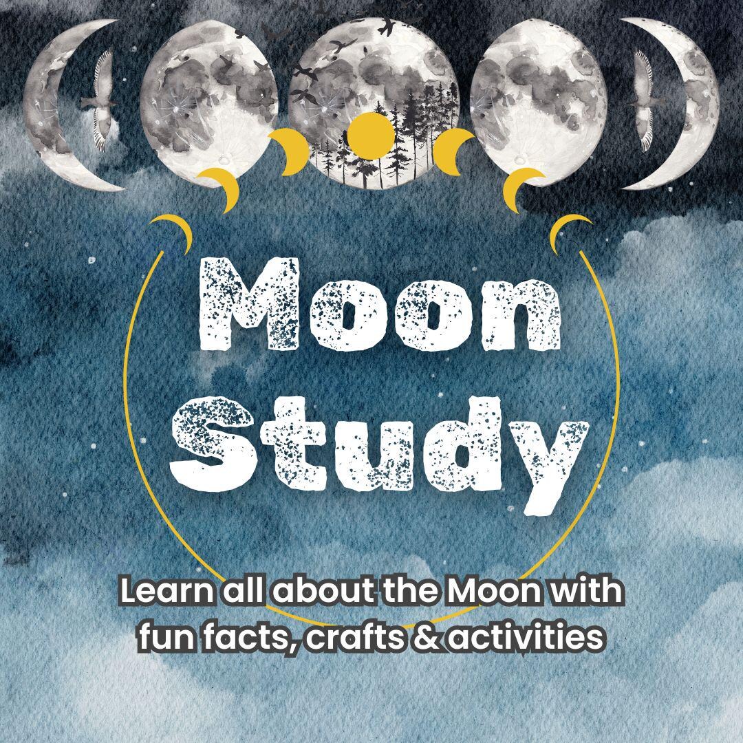 Moon Study Pack | Lunar Phases Printable, Diary, Crafts & Activities ...