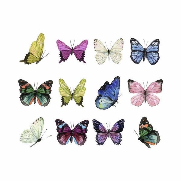 Transferts de chaleur de papillon de fer sur handrawn. Parfait pour personnaliser les chaussures, vêtements et autres tissus.