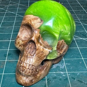 Skull in wych elm burr and green resin