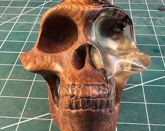 Australopithecus skull carved in burr elm and resin  ‘Lucy’