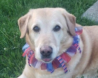 4th of July Dog Ribbon Collar - Independence Day Dog Collar - Hand Made - Red, White & Blue Collar