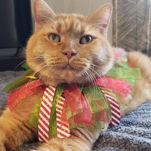 Christmas Ribbon Cat Collars: Multiple Styles/Colors