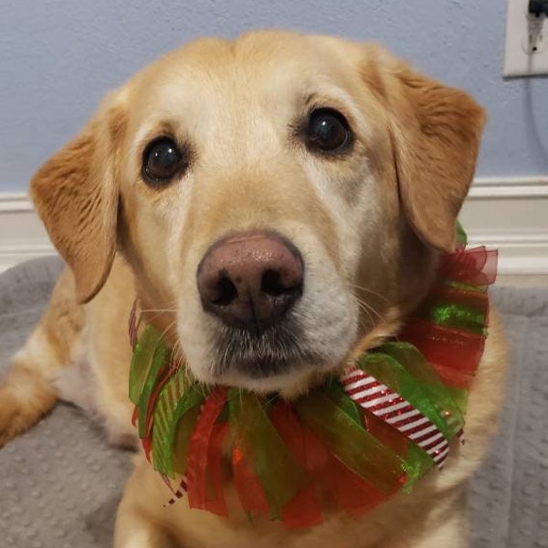 Christmas Dog Collar Etsy