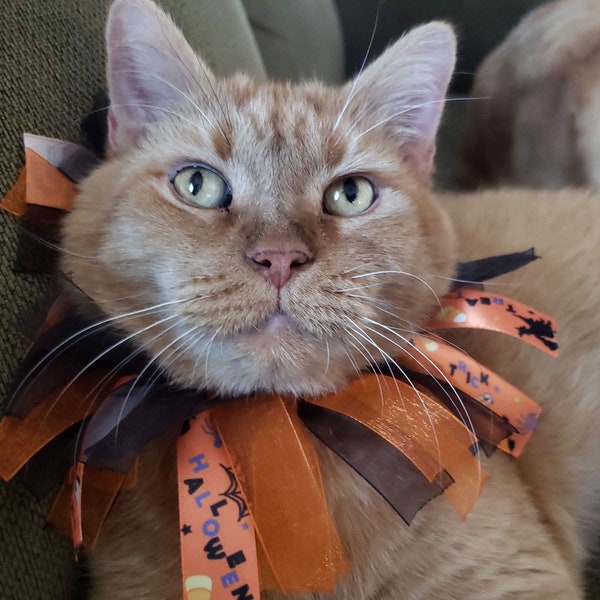 Halloween Ribbon Cat Collar: Multiple Styles/Colors