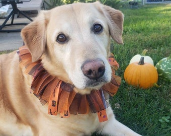 Halloween Ribbon Dog Collars: Multiple Styles/Colors