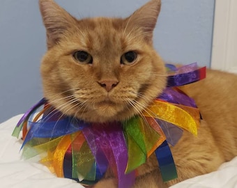 Rainbow Ribbon Cat Collar