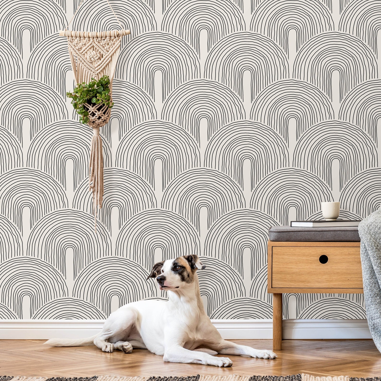 Minimalist Peel And Stick Wallpapernull