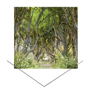 The Dark Hedges, carte de voeux Ballymoney-Co Antrim Irlande du Nord-carton blanc-carte d'anniversaire-carte d'art-cartes d'art-hêtres surnaturels