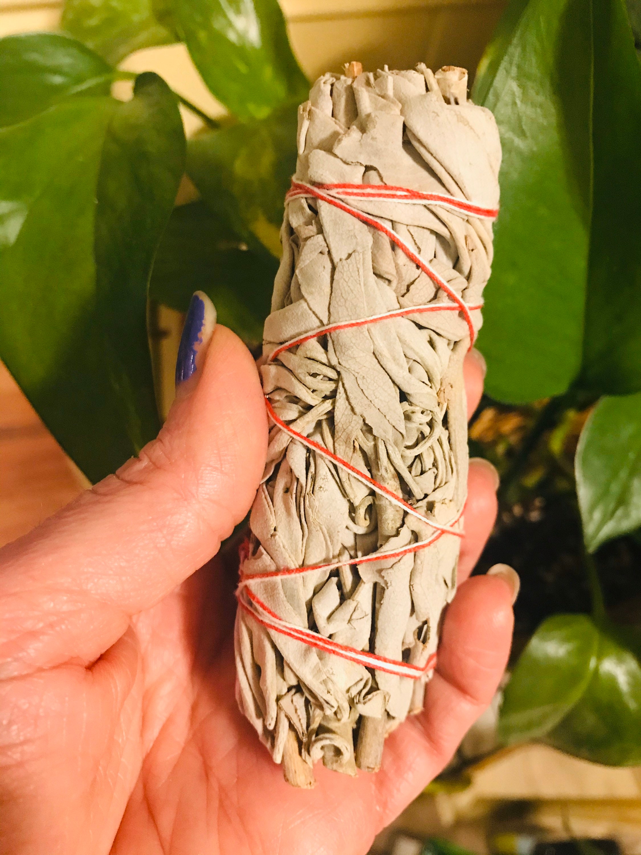 White Sage & Palo Santo Duo Etsy