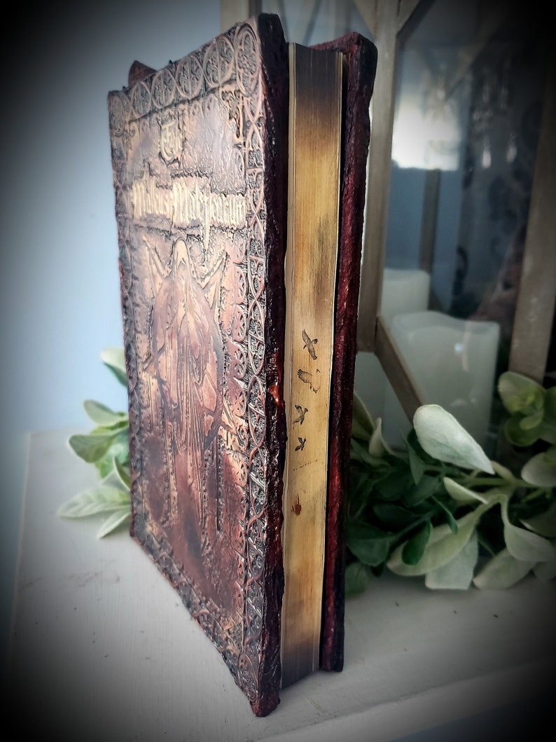 May include: A brown leather-bound journal with embossed details and a gold spine. The journal has the title "The Witches'  Manuscript" on the front cover.