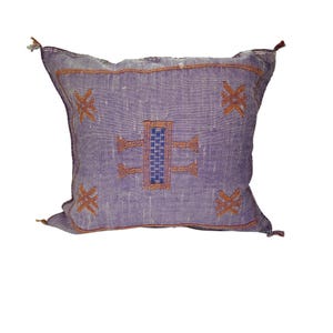 Moroccan Boho Throw Pillow 20x20 inch,Cactus Silk Pillow Cover,Hand woven Berber Pillow, Colorful Decorative Sabra Cactus Silk Cushion Cover