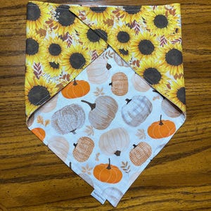Può includere: Un bandana triangolare per animali domestici con due motivi distinti. Un lato presenta girasoli giallo brillante con centri marroni, mentre l'altro mostra zucche nei toni dell'arancione, bianco e marrone su sfondo bianco.