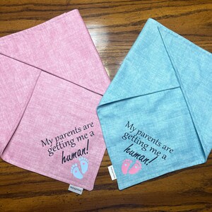 Bandanas para anunciar el género: para atar o sobre el cuello, para perros, gatos y mascotas. Rosa, azul, para revelar el género.