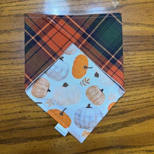Può includere: Una bandana triangolare per animali domestici con base in tessuto bianco e un motivo ripetuto di zucche arancioni, beige e azzurre con piccole foglie. La parte superiore è realizzata in tessuto scozzese verde scuro e arancione.