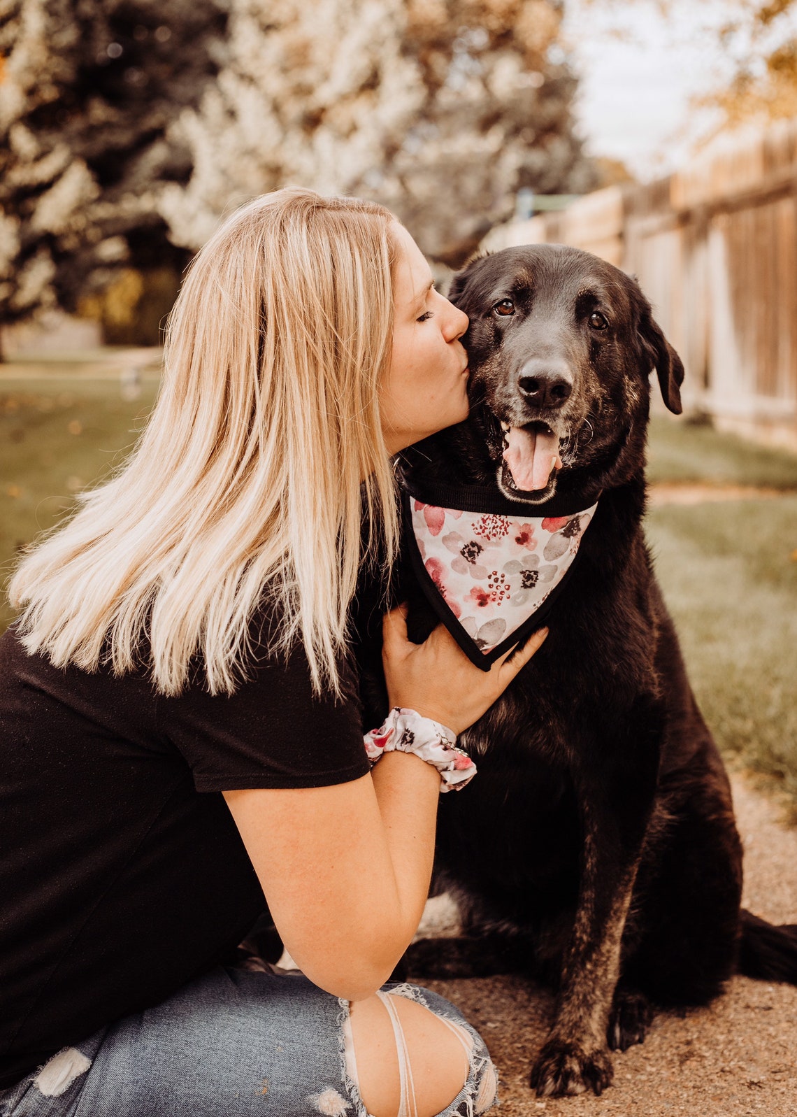 Matching Dog Collar And Bracelet Girl Dog Collar Spring Dog Etsy