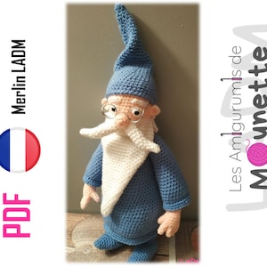 Merlin the Wizard PDF LADM Tutorial