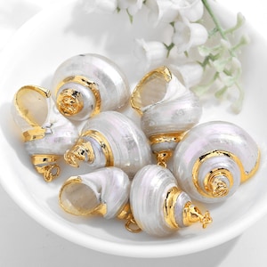 Könnte beinhalten: Sechs weiße Muscheln mit goldenen Akzenten. Die Muscheln sind in einem Kreis auf einer weißen Oberfläche angeordnet.