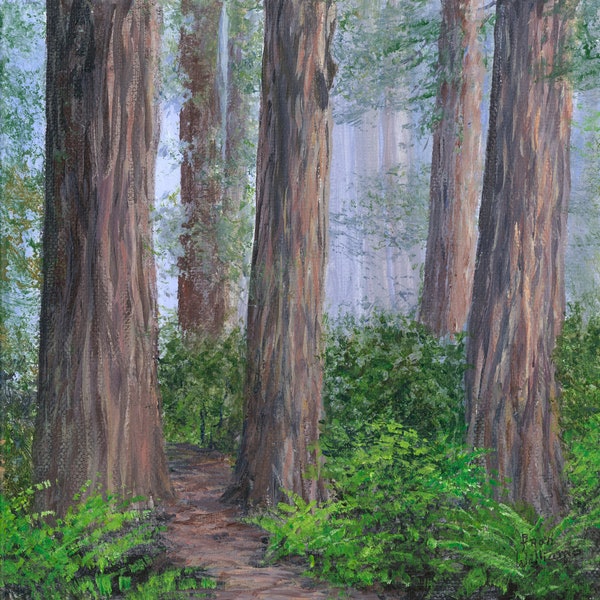 Redwood National Park Print