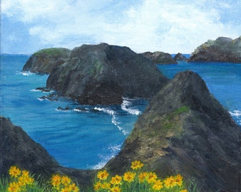Channel Islands National Park Print