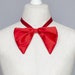 see more listings in the Silk Bow tie section