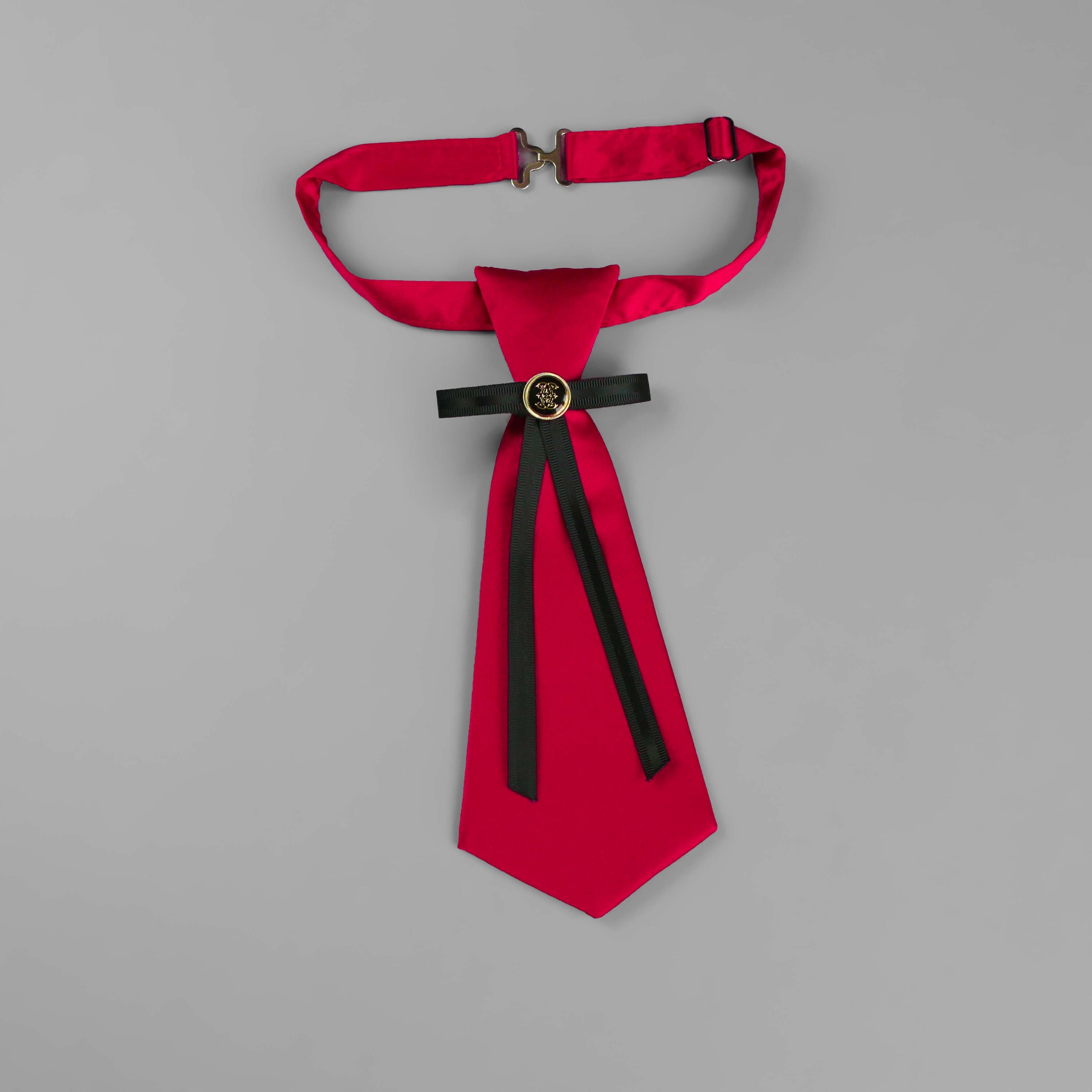 Decorative Burgundy Feather and Crystal Brooch Silk Necklace Tie Red Silk Tie Necklace: Handmade Women main image 2