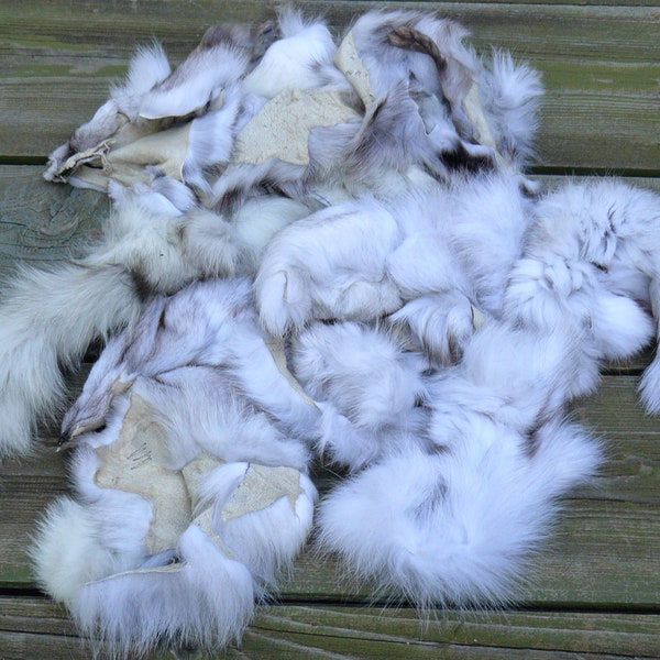 Chutes de fourrure blanche, mélange de vrais morceaux de fourrure, fourrure de renard naturelle non triée pour l'artisanat, matériel pour le bricolage, vrais chutes de taxidermie de renard, matières premières