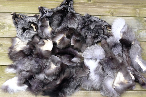 Fox pelt, Real fur scraps, Mix of real fur pieces, Unsorted natural fox fur for crafts, Material for DIY, Taxidermy scraps, Raw materials