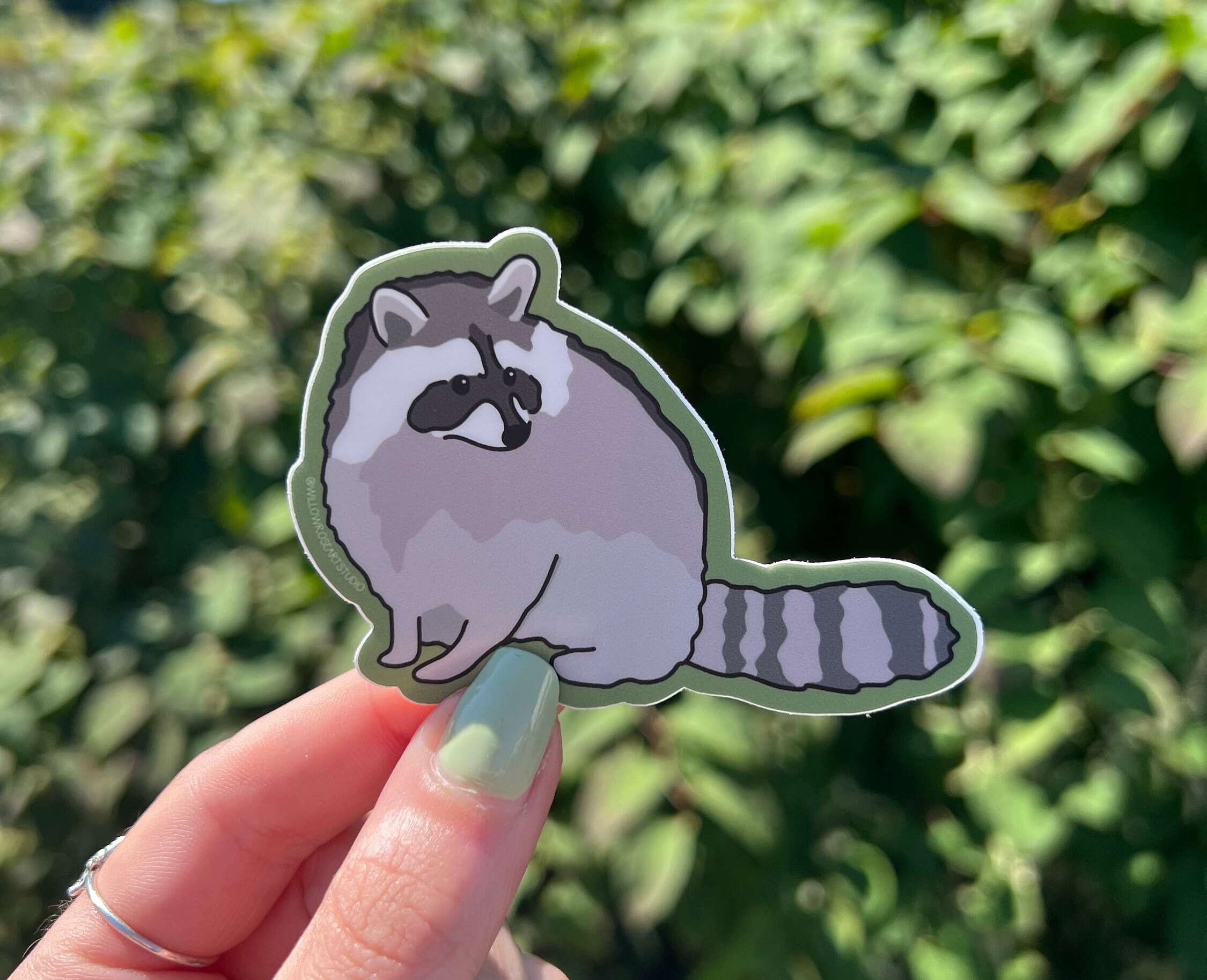 Raccoon Vinyl Sticker - Etsy