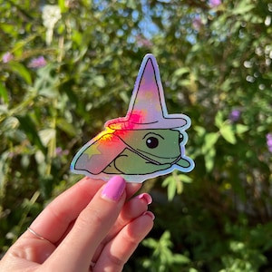 Frog wizard Vinyl Sticker