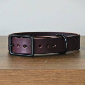 Collar de cuero morado para perro, personalizado, cuero de brida inglés de primera calidad, hebilla y anilla en D de latón macizo, hecho a mano, con sello personalizado.