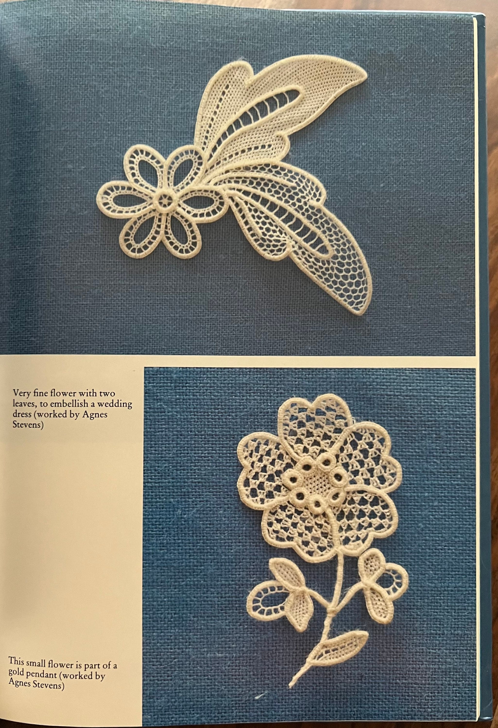 Needle lace Book - Out of Print Starting Zele Lace by Agnes
