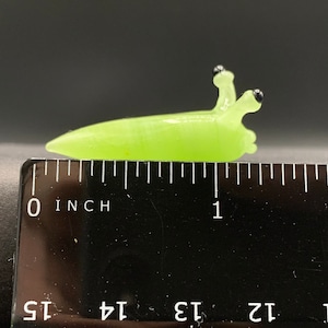 Expensive Glass Slug | Expensive and Very Small Green Slug (alien?)