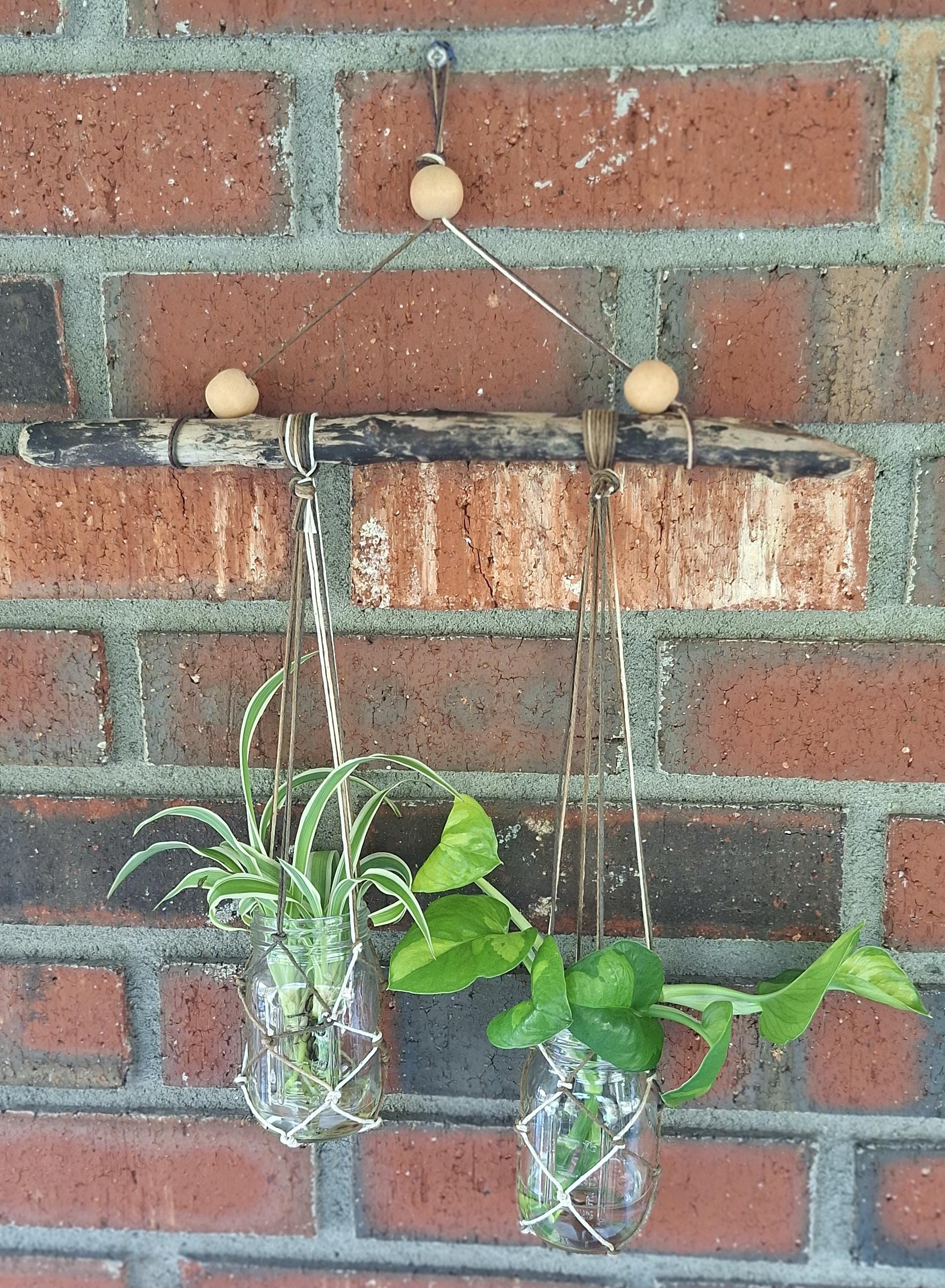 Macrame Rope Freshwater Driftwood Propagation Station Vase 2 Ball Mini ...