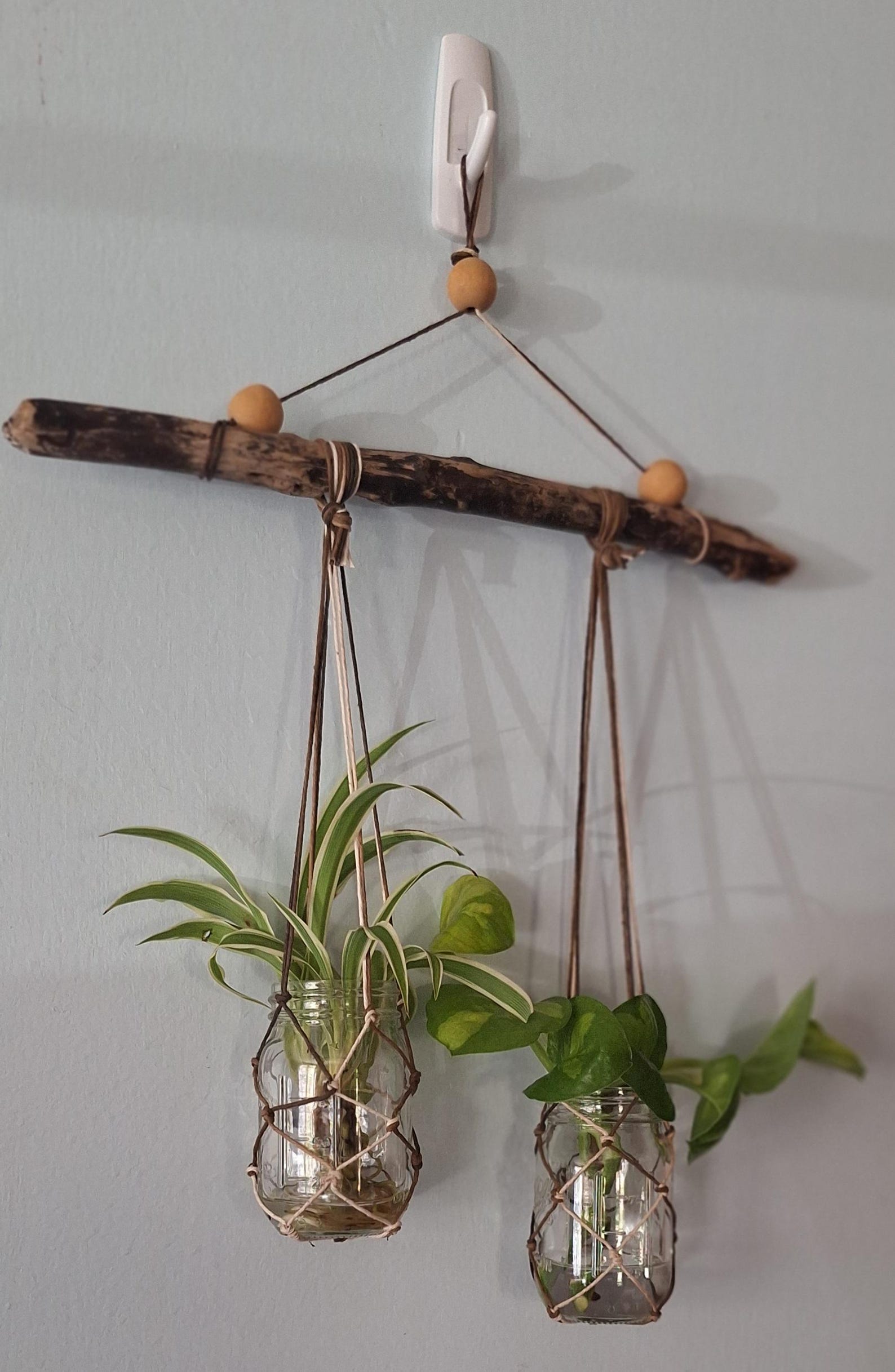 Macrame Rope Freshwater Driftwood Propagation Station Vase 2 Ball Mini ...