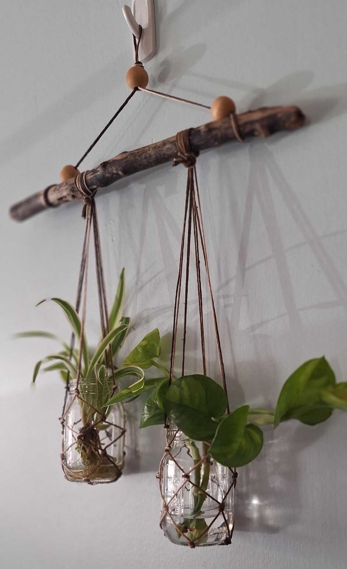 Macrame Rope Freshwater Driftwood Propagation Station Vase 2 Ball Mini ...